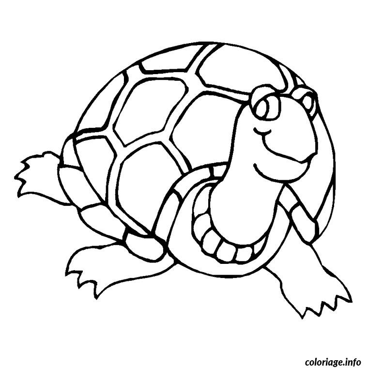 Dessin bebe tortue Coloriage Gratuit à Imprimer