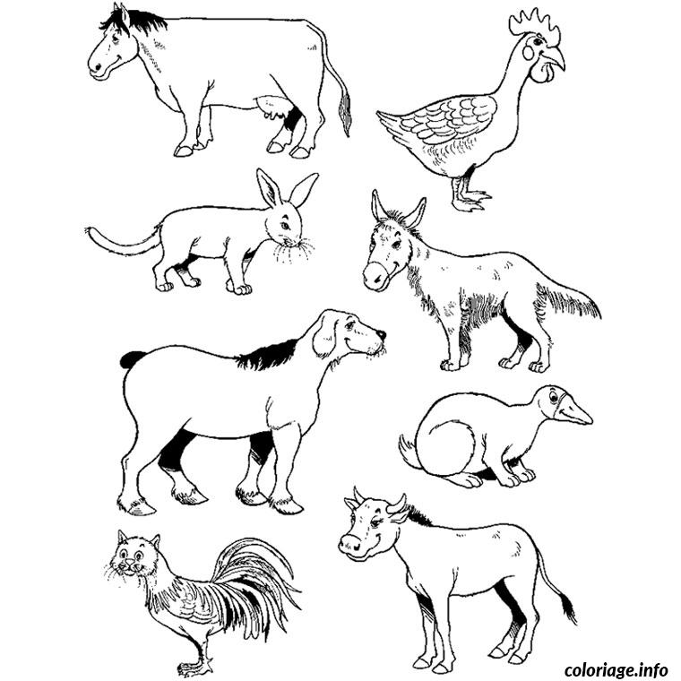 Dessin animaux imaginaires Coloriage Gratuit à Imprimer