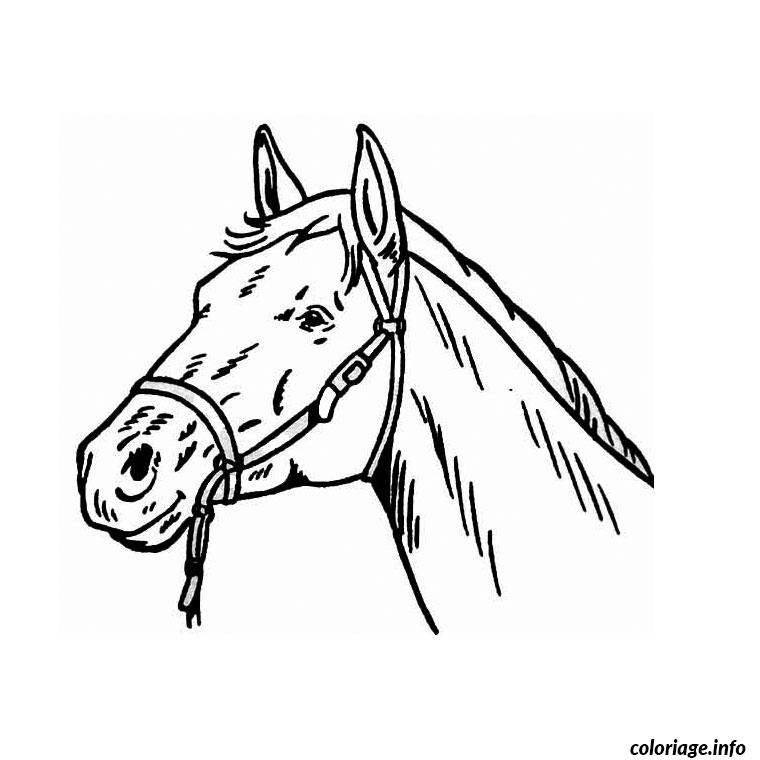 Dessin tete de cheval Coloriage Gratuit à Imprimer