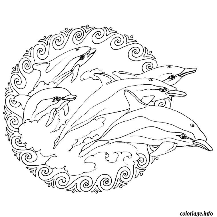 Dessin dauphin coeur Coloriage Gratuit à Imprimer