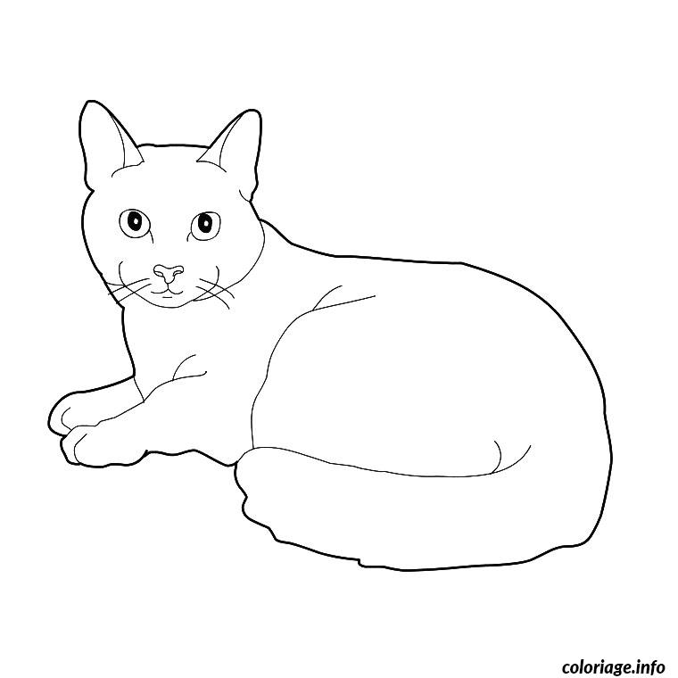 Coloriage Chat Et Chaton