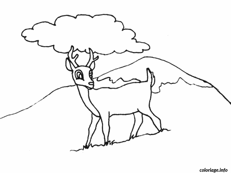 Dessin dessin animaux biche Coloriage Gratuit à Imprimer