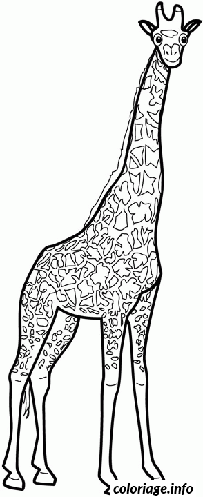 Dessin dessin animaux girafe Coloriage Gratuit à Imprimer