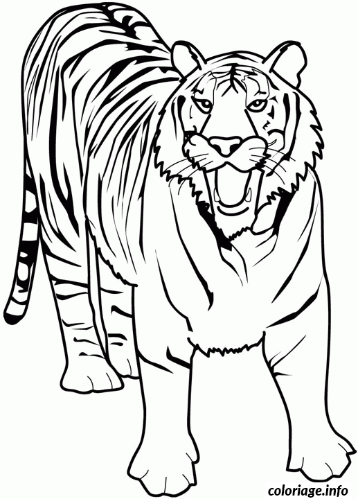 Coloriage Dessin Animaux Tigre Dessin à Imprimer