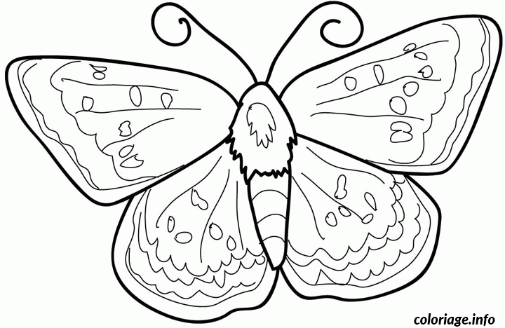 Coloriage Dessin Animaux Papillon Dessin à Imprimer