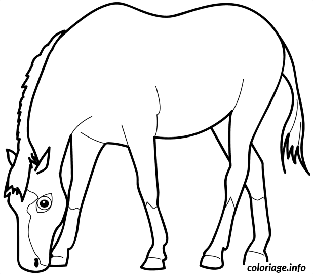 Dessin dessin animaux cheval Coloriage Gratuit à Imprimer