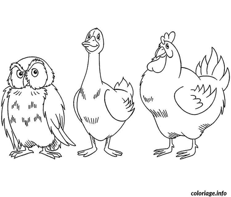 Dessin dessin animaux hibou et oie et poule Coloriage Gratuit à Imprimer