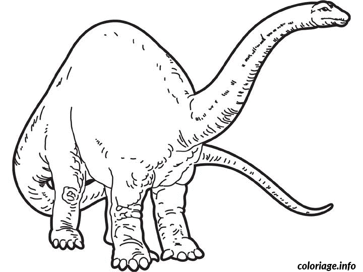 Dessin dessin dinosaure brontosaure Coloriage Gratuit à Imprimer