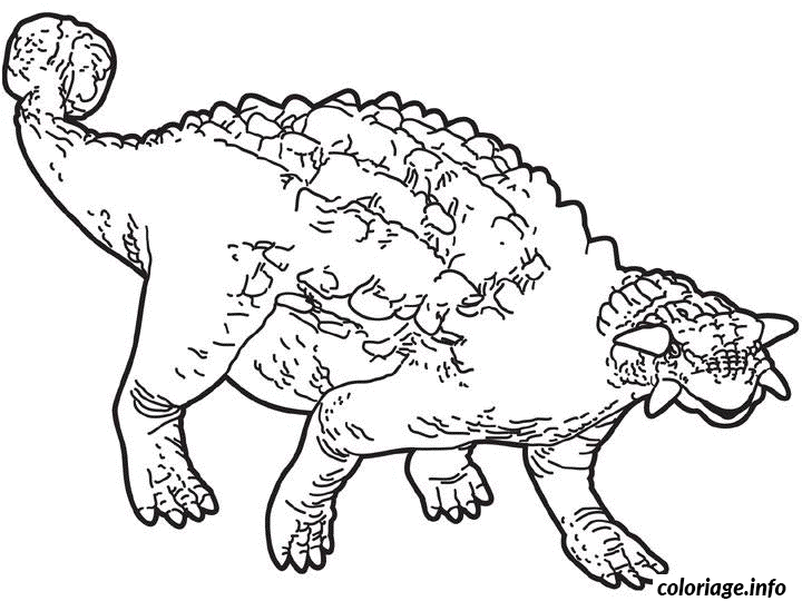 Coloriage Dessin Dinosaure Ankylosaure Dessin à Imprimer