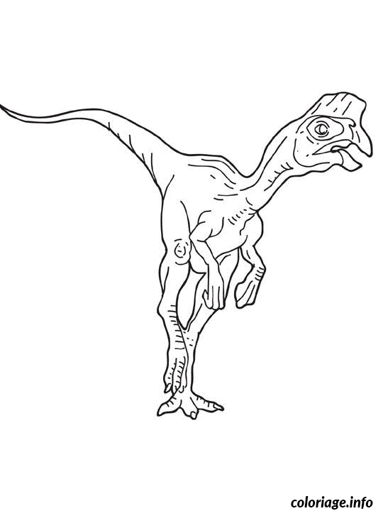 Coloriage Dessin Dinosaure Oviraptor Dessin à Imprimer