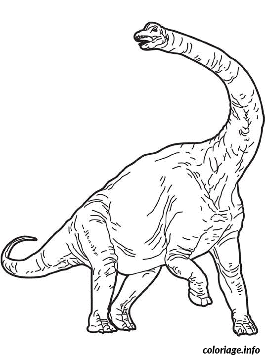 Coloriage Dessin Dinosaure Brachiosaure Dessin à Imprimer
