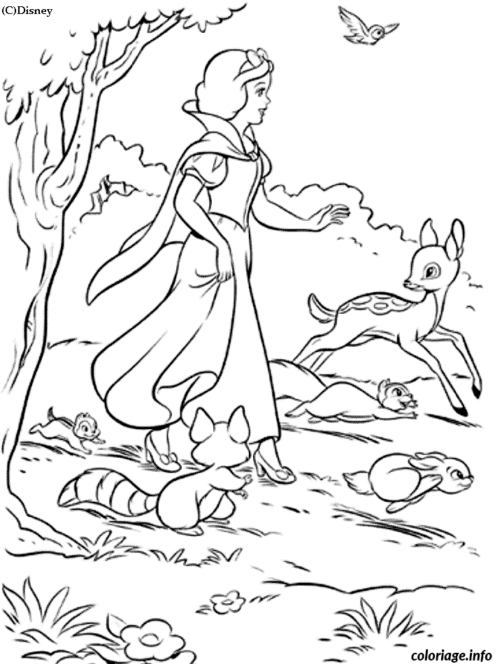 Dessin Blanche Neige dans la foret Coloriage Gratuit à Imprimer