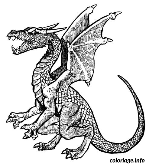 Coloriage Dragon Avec Des Ailes Dessin à Imprimer