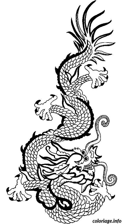 Coloriage Dragon Japonais Dessin à Imprimer