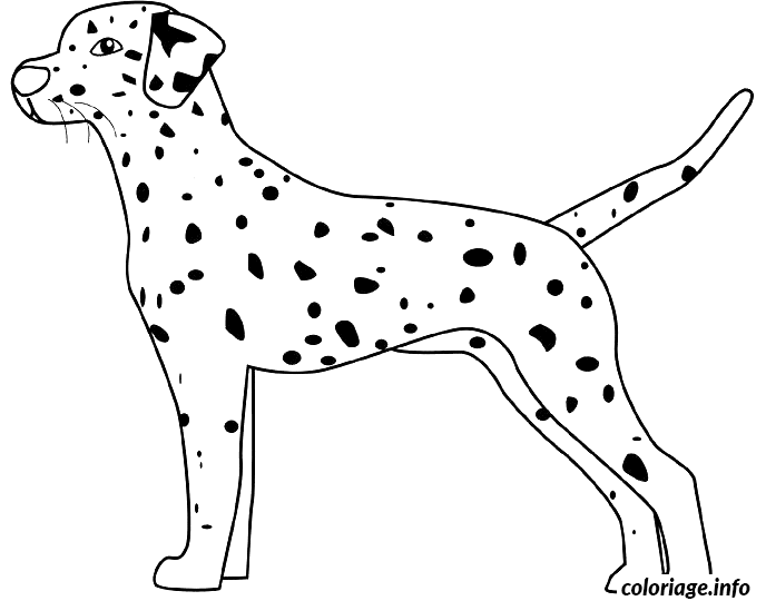 Dessin dessin chien dalmatien Coloriage Gratuit à Imprimer