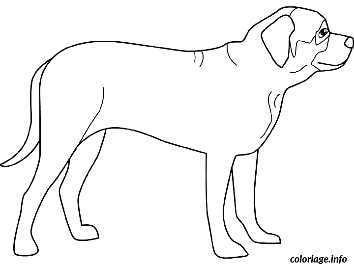 Dessin dessin chien mastiff Coloriage Gratuit à Imprimer