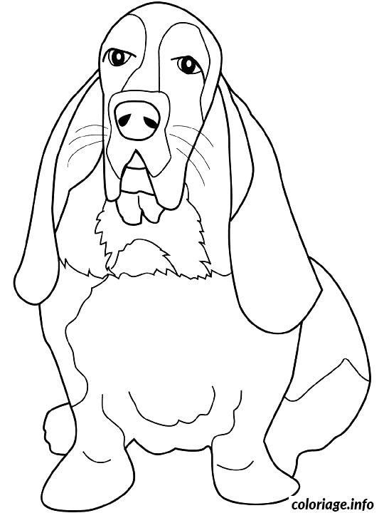 Dessin dessin chien basset Coloriage Gratuit à Imprimer