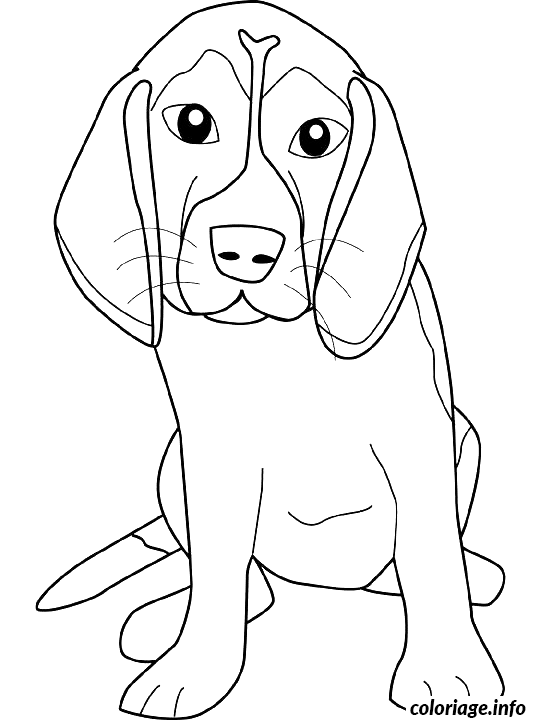 Dessin dessin chien beagle Coloriage Gratuit à Imprimer