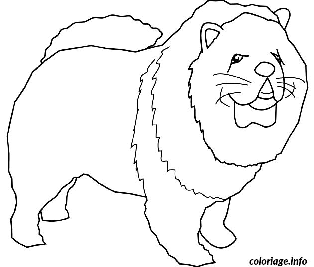 Dessin dessin chien chow chow Coloriage Gratuit à Imprimer