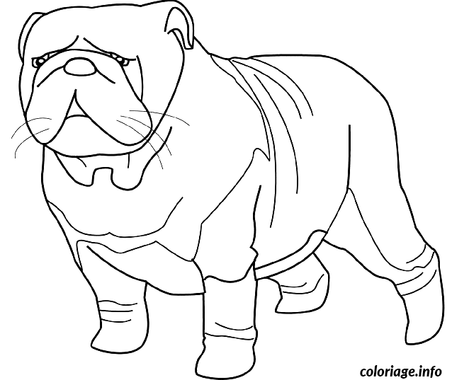 Dessin dessin chien bulldog Coloriage Gratuit à Imprimer