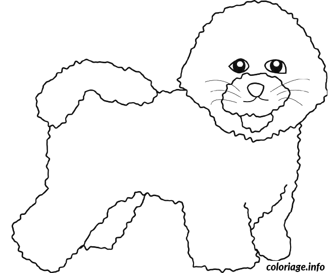 Dessin dessin chien bichon frise Coloriage Gratuit à Imprimer