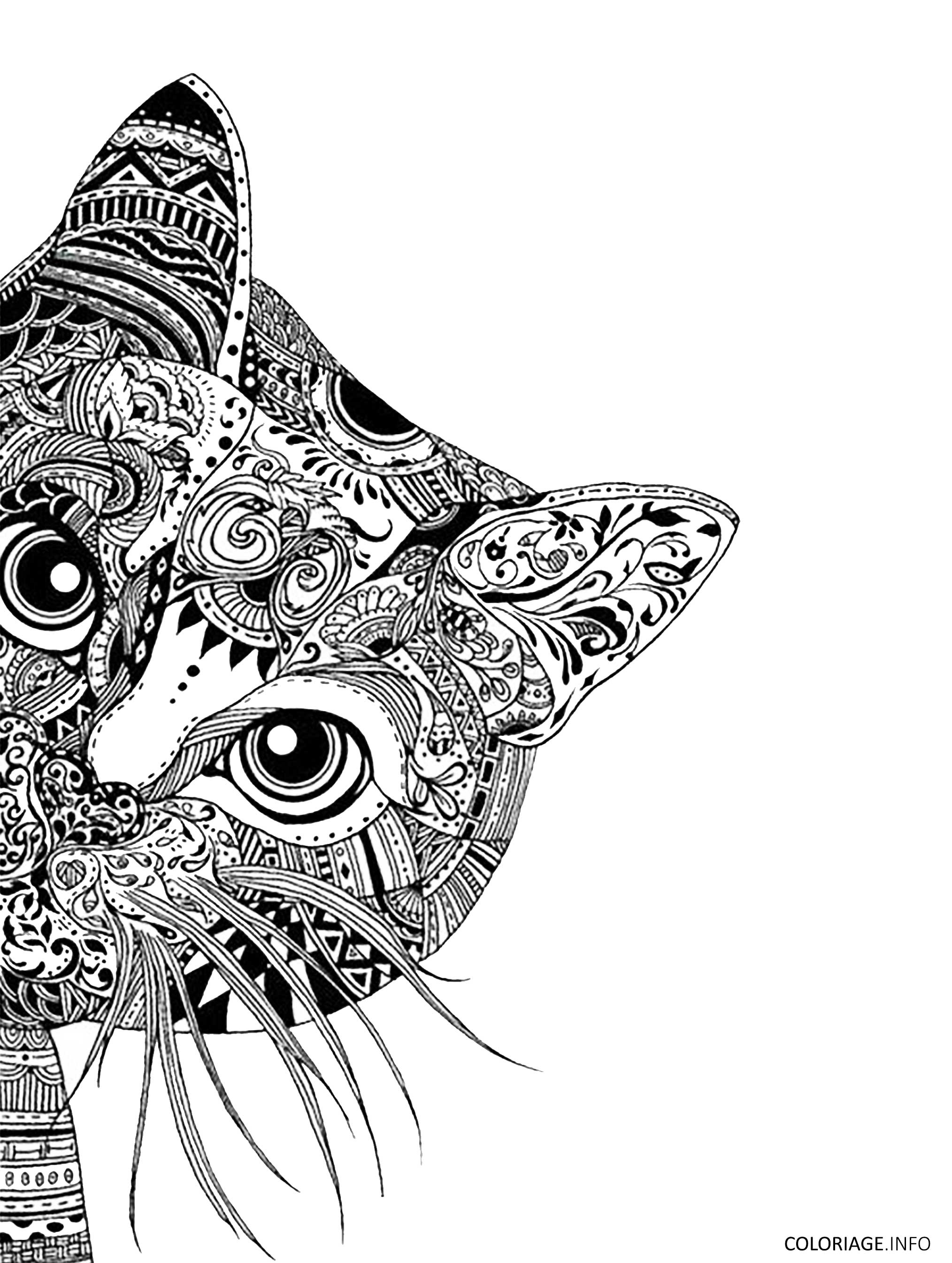 Coloriage mandala chat difficile adulte dessin Mandala de chat