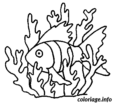 Dessin un poisson qui nage dans les algues Coloriage Gratuit à Imprimer