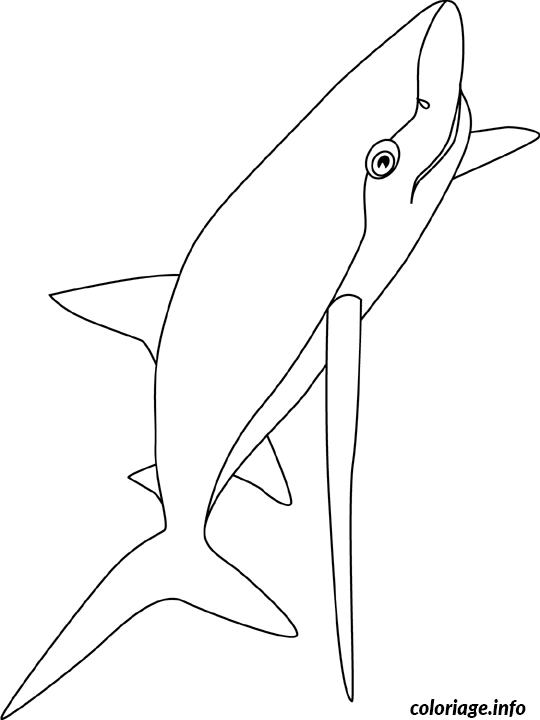 Dessin aigrefin bleu Coloriage Gratuit à Imprimer