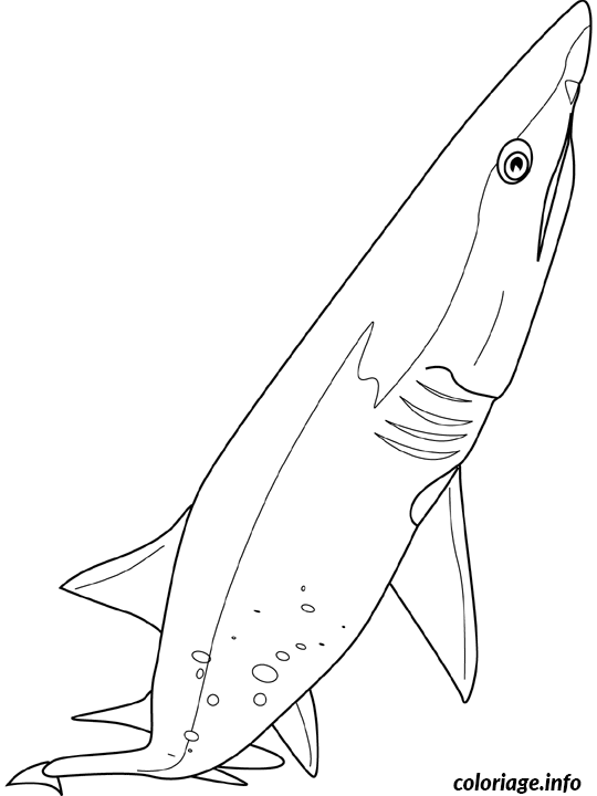 Dessin requin sandtige Coloriage Gratuit à Imprimer