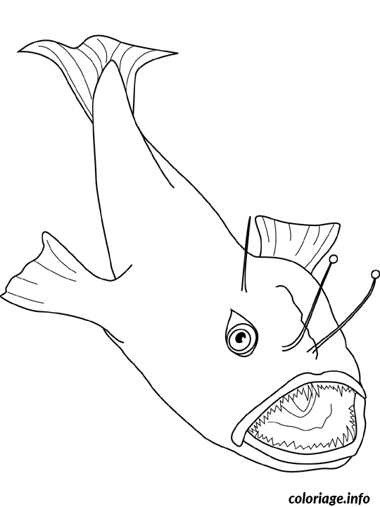 Dessin anglerfish Coloriage Gratuit à Imprimer