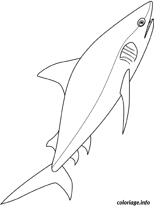 Dessin requin Coloriage Gratuit à Imprimer