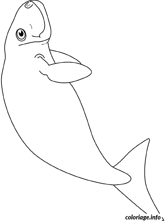 Dessin dugong Coloriage Gratuit à Imprimer