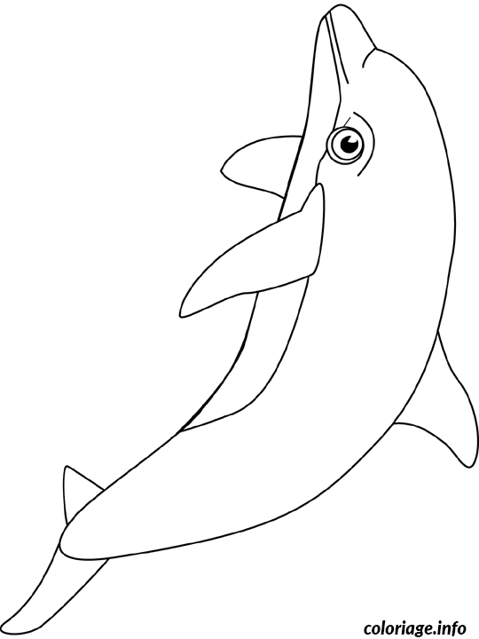 Dessin dauphin Coloriage Gratuit à Imprimer