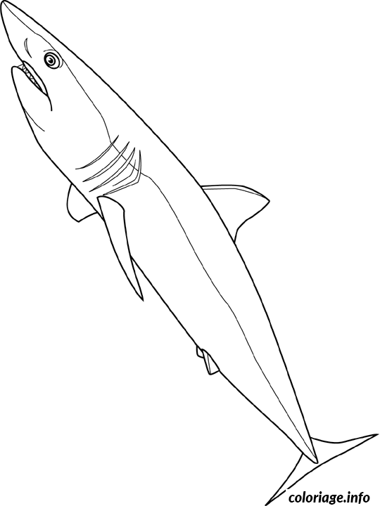 Coloriage Requin En Ligne