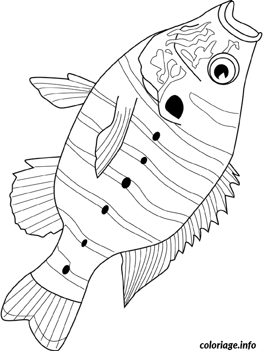 Dessin sunfish Coloriage Gratuit à Imprimer