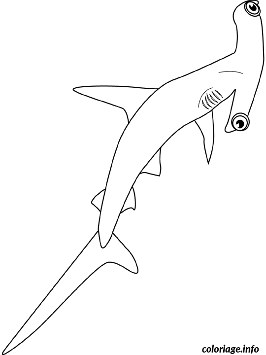 Dessin hammerhead shark Coloriage Gratuit à Imprimer