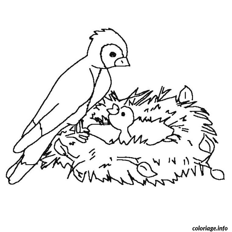 Coloriage Oiseau Dans Son Nid