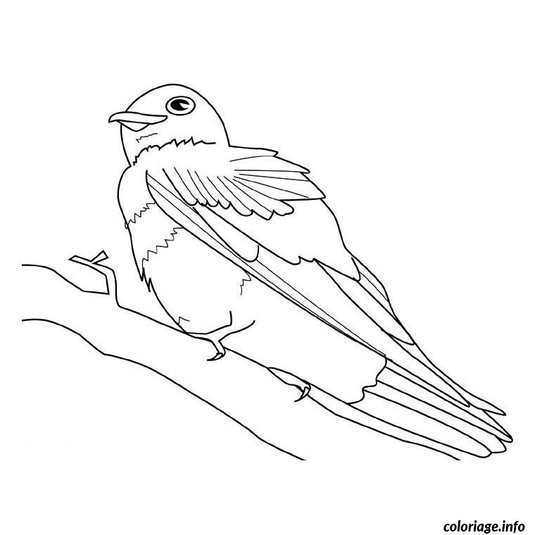 Dessin oiseaux migrateurs Coloriage Gratuit à Imprimer