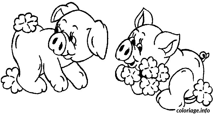 Coloriage 2 Cochons Avec Des Fleurs Dessin à Imprimer