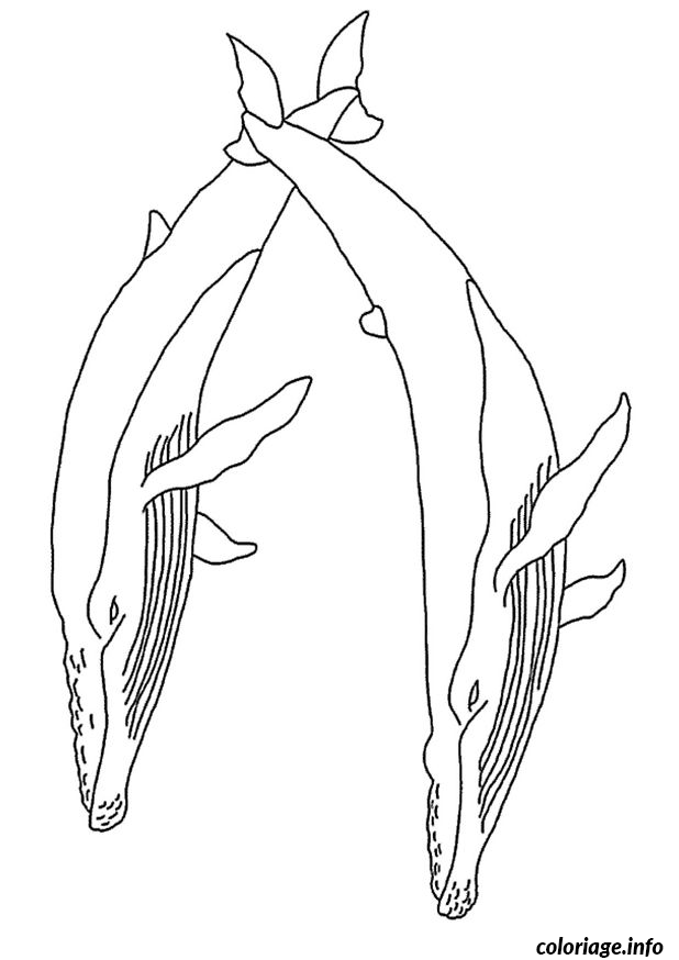 Coloriage Deux Baleines Dessin à Imprimer