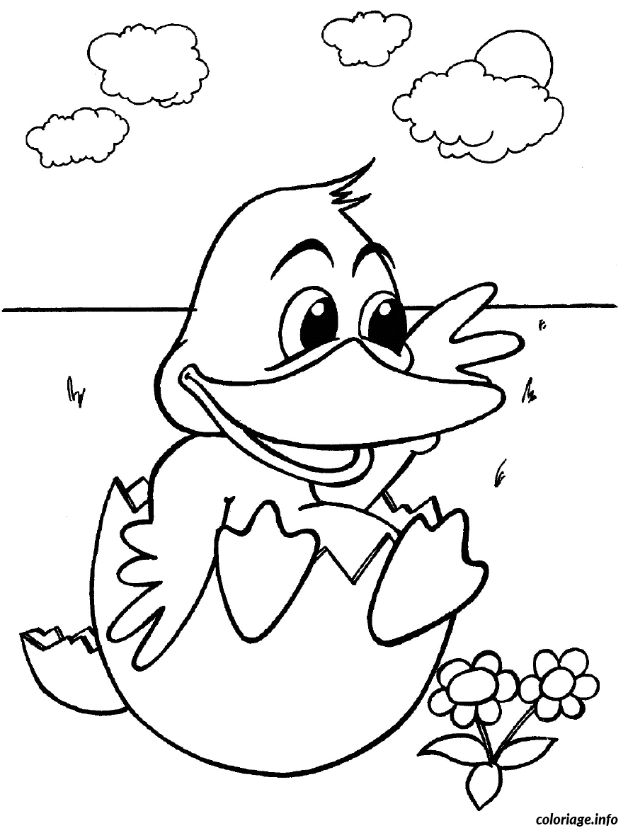 Dessin canard fleurs et nuages Coloriage Gratuit à Imprimer