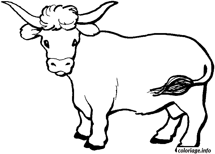 Dessin dessin d un boeuf Coloriage Gratuit à Imprimer