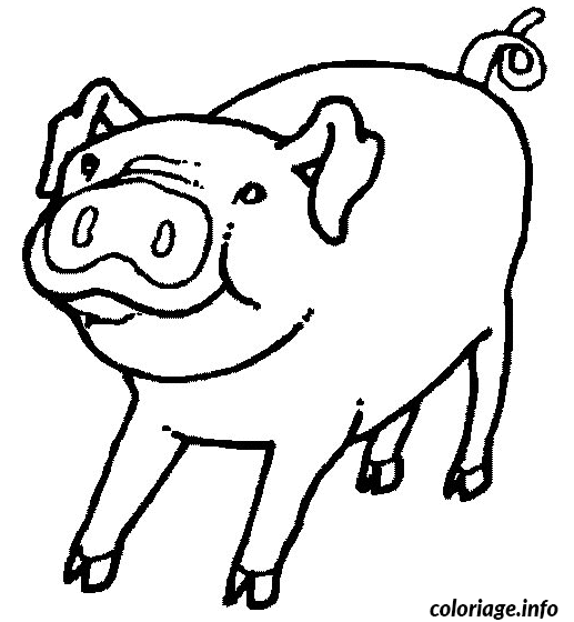 Dessin dessin d un porc Coloriage Gratuit à Imprimer