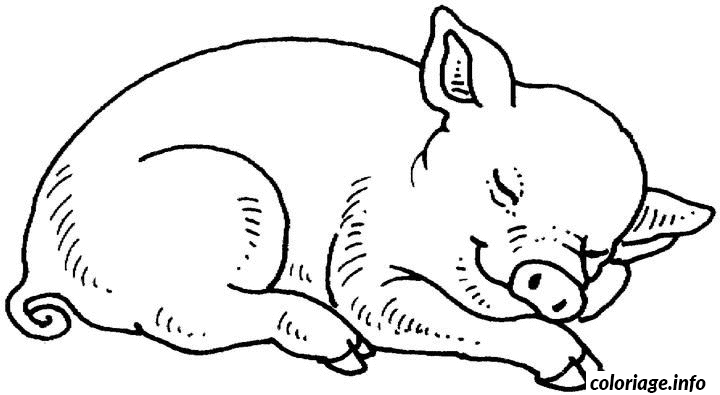 Dessin cochon qui dort Coloriage Gratuit à Imprimer