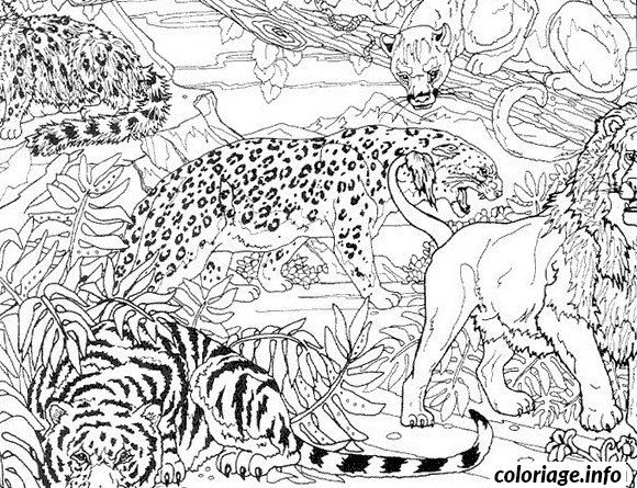 Coloriage Guepard Tigre Et Lion Dans La Jungle Dessin à Imprimer