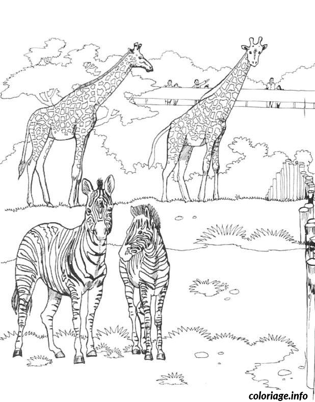 Coloriage Zebres Et Girafes Dessin à Imprimer