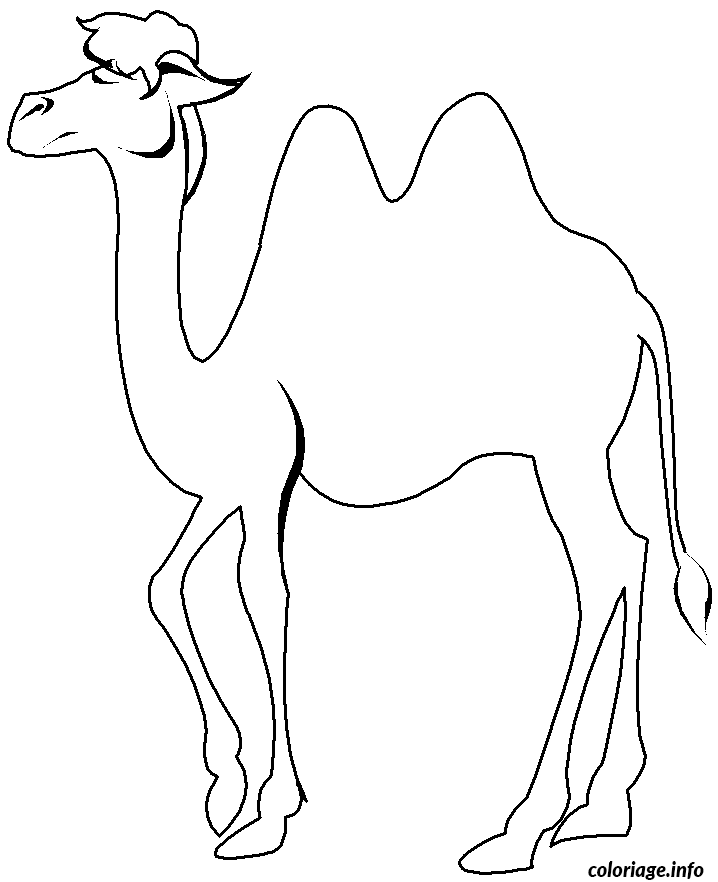 Dessin chameau de profil Coloriage Gratuit à Imprimer