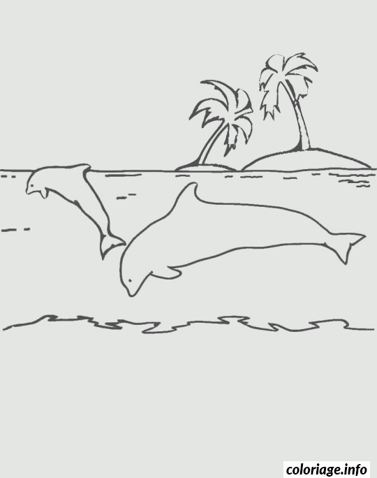 Dessin dauphins et palmiers Coloriage Gratuit à Imprimer