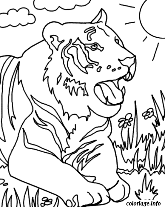 Dessin tigre dans l herbe Coloriage Gratuit à Imprimer