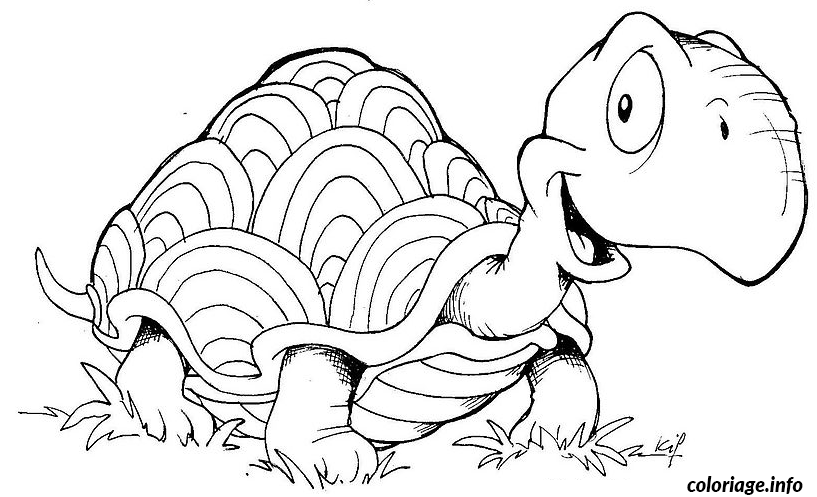 Dessin tortue dans l herbe Coloriage Gratuit à Imprimer